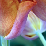 image04