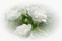 Bild- 04