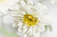 Bild- 05