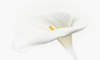 Bild- 06