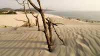IMAGE01