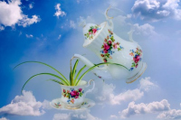 image02