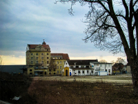 Friedl Reif
