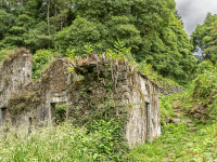 bild-003