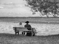 Max-Jahresausstellung-2025-2-von-3