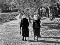 Max-Jahresausstellung-2025-3-von-3