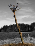 image01
