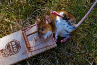 image02