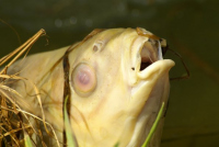 image05