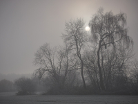 23-morgens