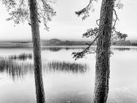 Stille-Staffelsee