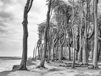 Ostsee3