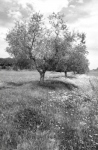 image03