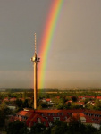 image08