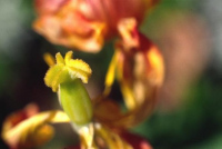image01
