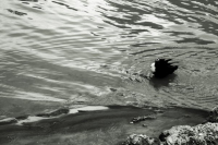 image03