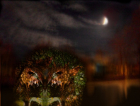 friedl-Bild22