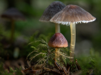 Austellung_2_3_A6605450_451___505H
