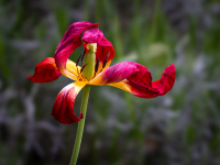 RP_B3-Rechts_DSC6-06293_LP2gespiegelt-