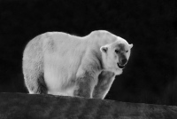 image02