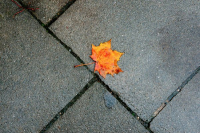 image01
