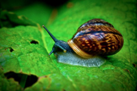 image02