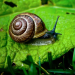 image03
