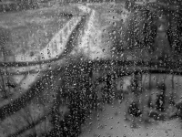 image07