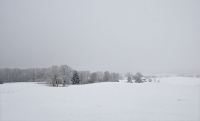 image23