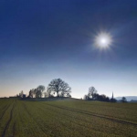 image03