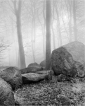 image01