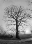 image04