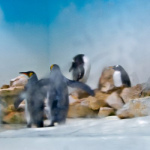 image04