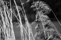 image07