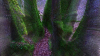 image36