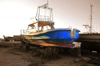 Foto-2025-Binsteiner-1