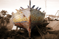 Foto-2025-Binsteiner-2