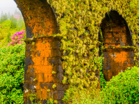 2-orange 06-eo-01-004_DSC1433