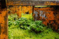 2-orange 07-eo-02-005_DSC1420