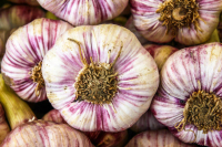 Annegret Kawan, Knoblauch