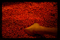 Günther Keil, Roter Pfeffer