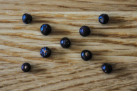 Reinhold Panjan, Stern-Wacholder