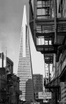 Walter Schneider - San Franzisko  02