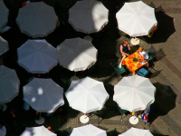 image11