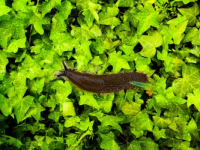 image18