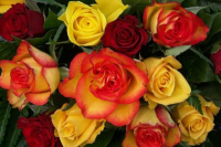 image01
