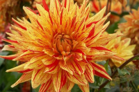 image02