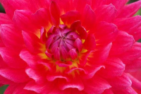 image03