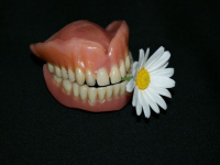 image02