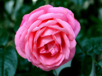 image03